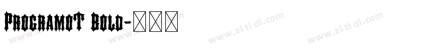 ProgramoT Bold字体转换